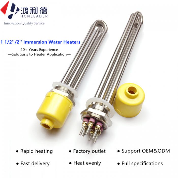 Immersion Heater For Steamer